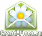 Логотип компании Доставка цветов Гранд Флора (ф-л г. Шексна)